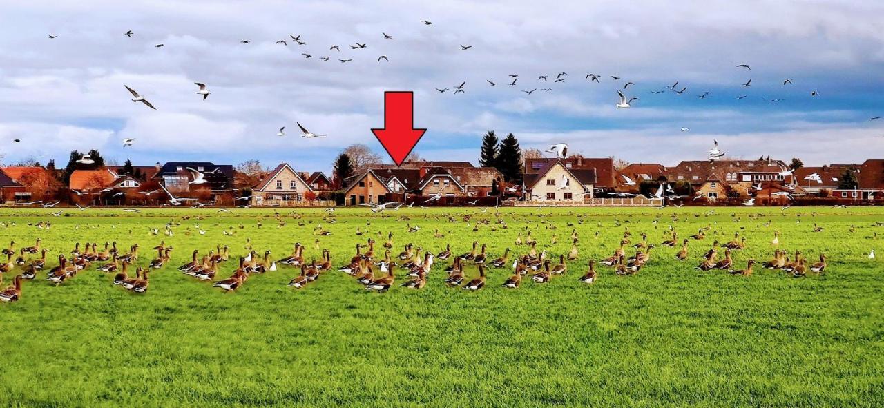 Ferienhaus-Kalkar Exteriör bild